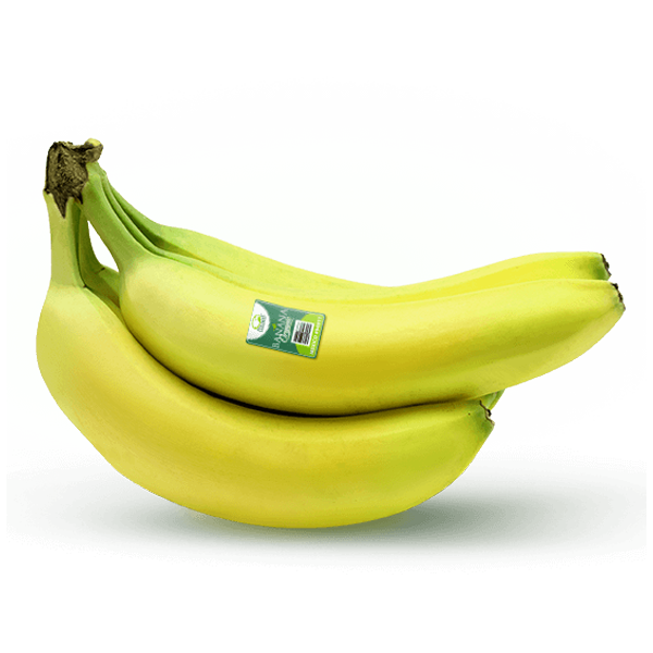 Coliman Bananas - Nutriendo Tu Vida