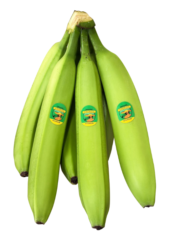 bunch of amorita bananas white background