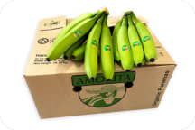 amorita organic bananas in a carton